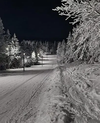 Orlicka * 두슈니키 즈드로지