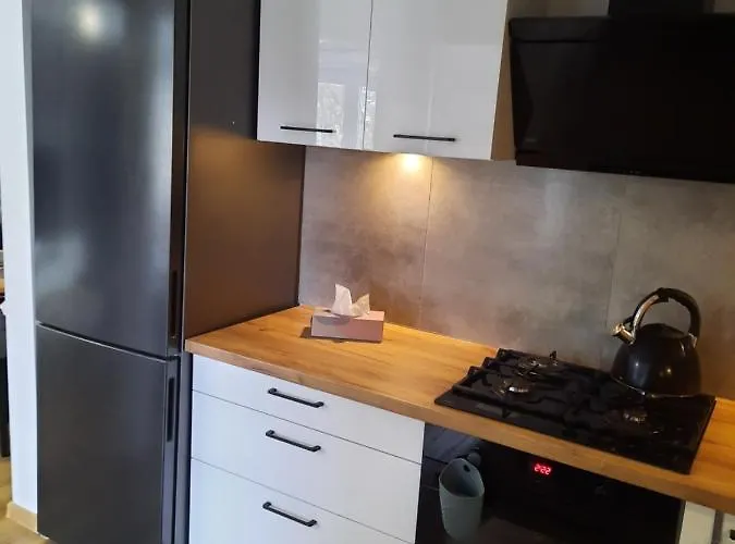 Orlicka 아파트 두슈니키 즈드로지