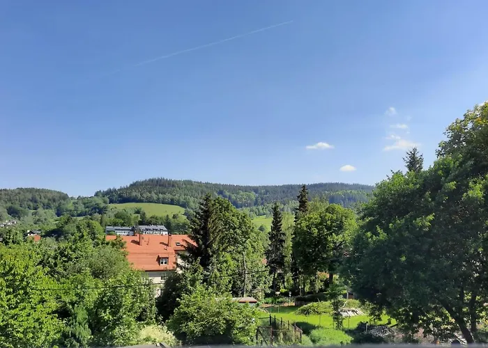 Апартаменты Orlicka *